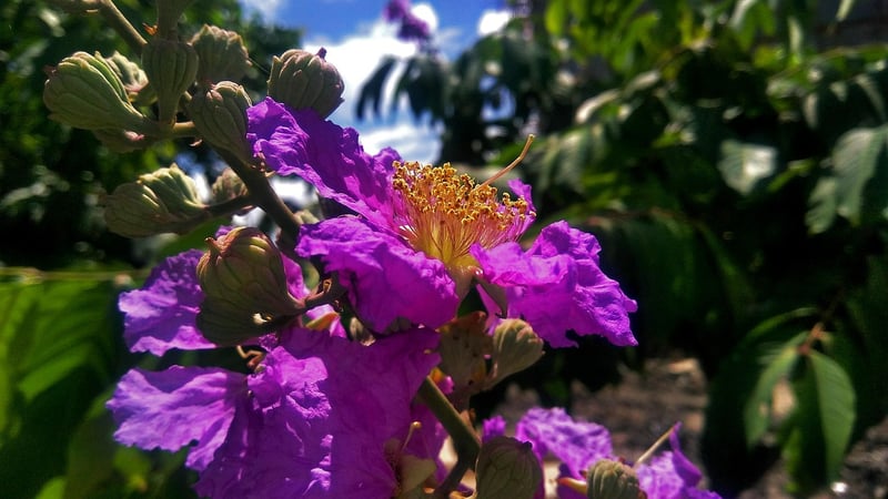 Accessory Must-Haves